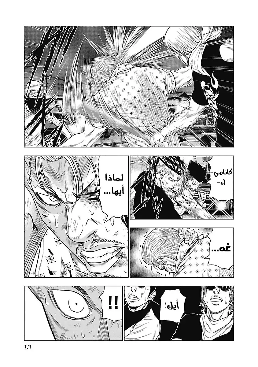 الصفحة 13