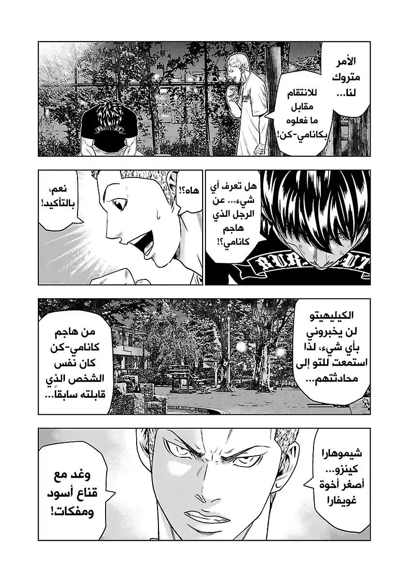 الصفحة 17