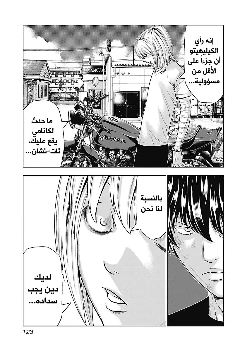 الصفحة 17