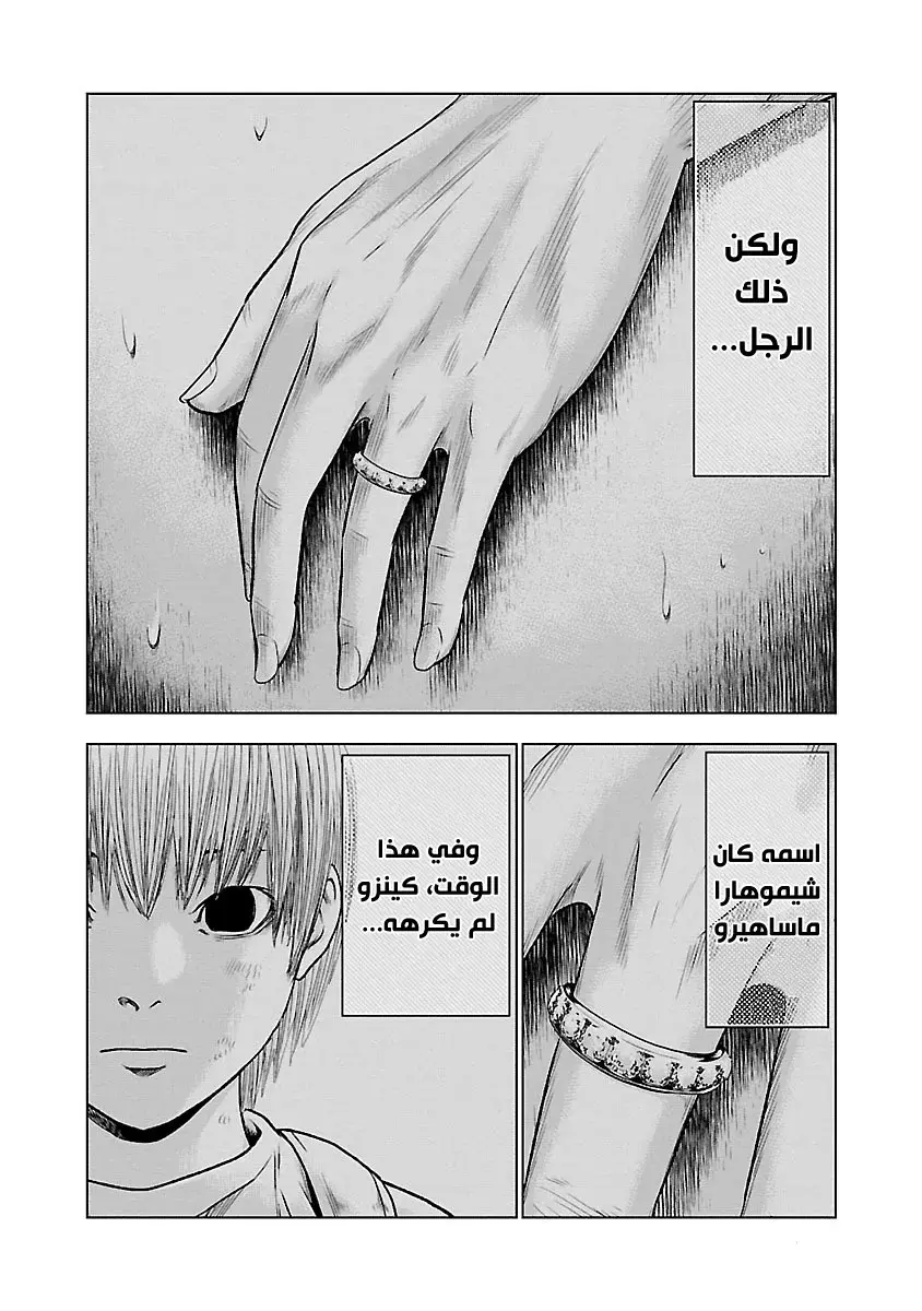 الصفحة 13