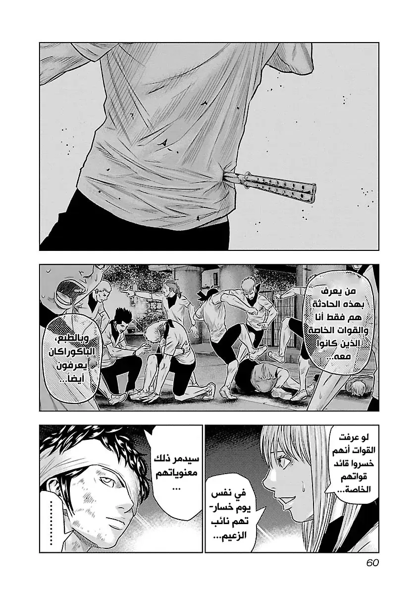 الصفحة 14