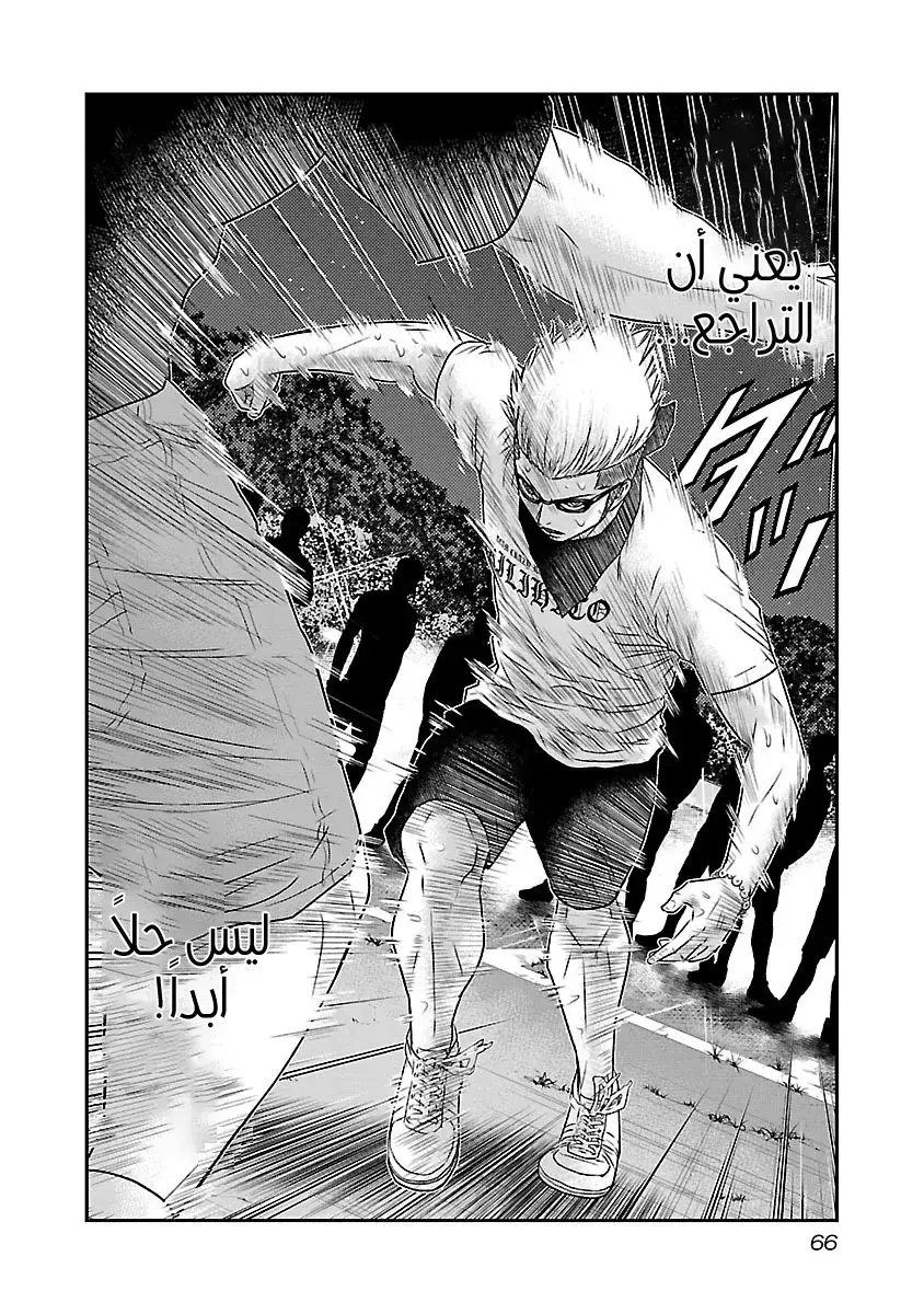 الصفحة 19