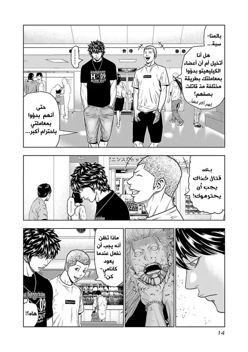 الصفحة 14