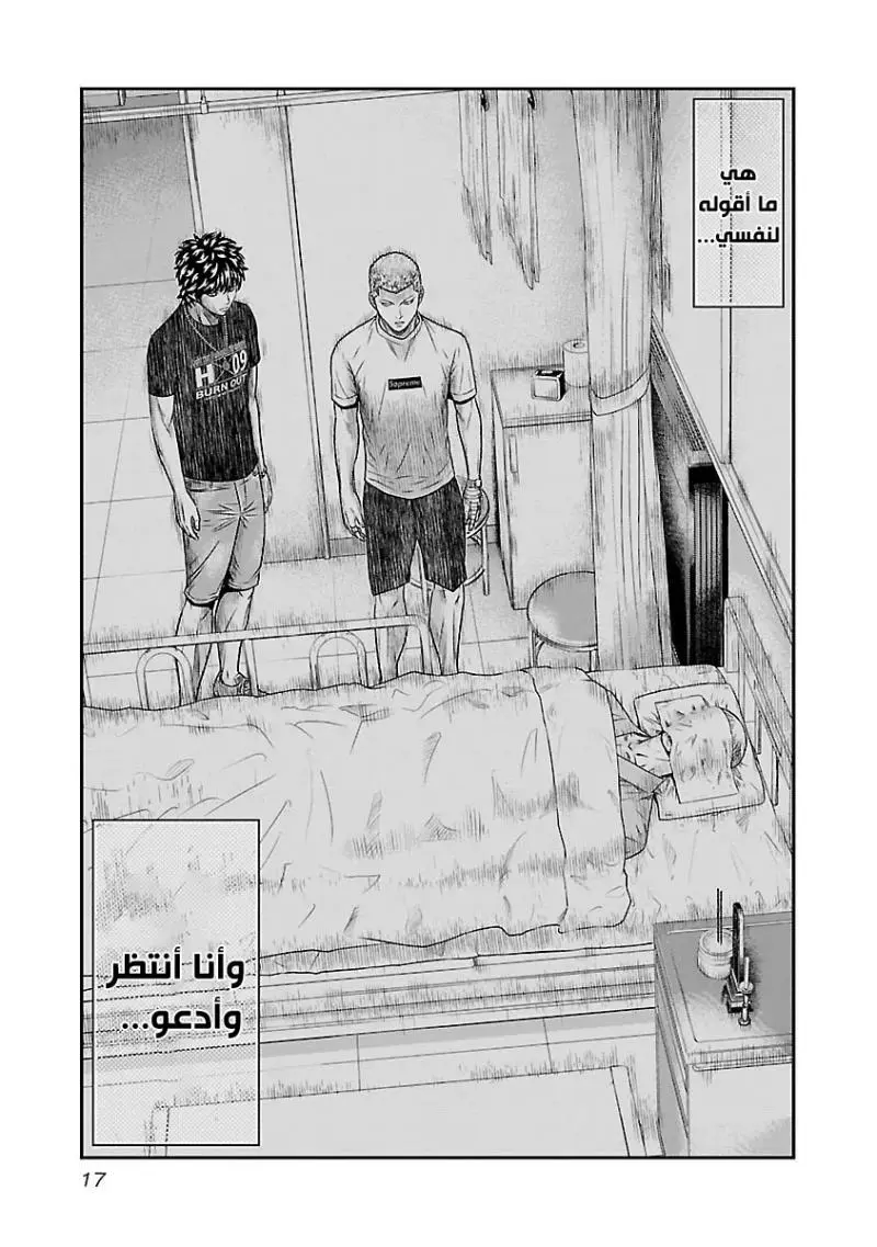 الصفحة 17