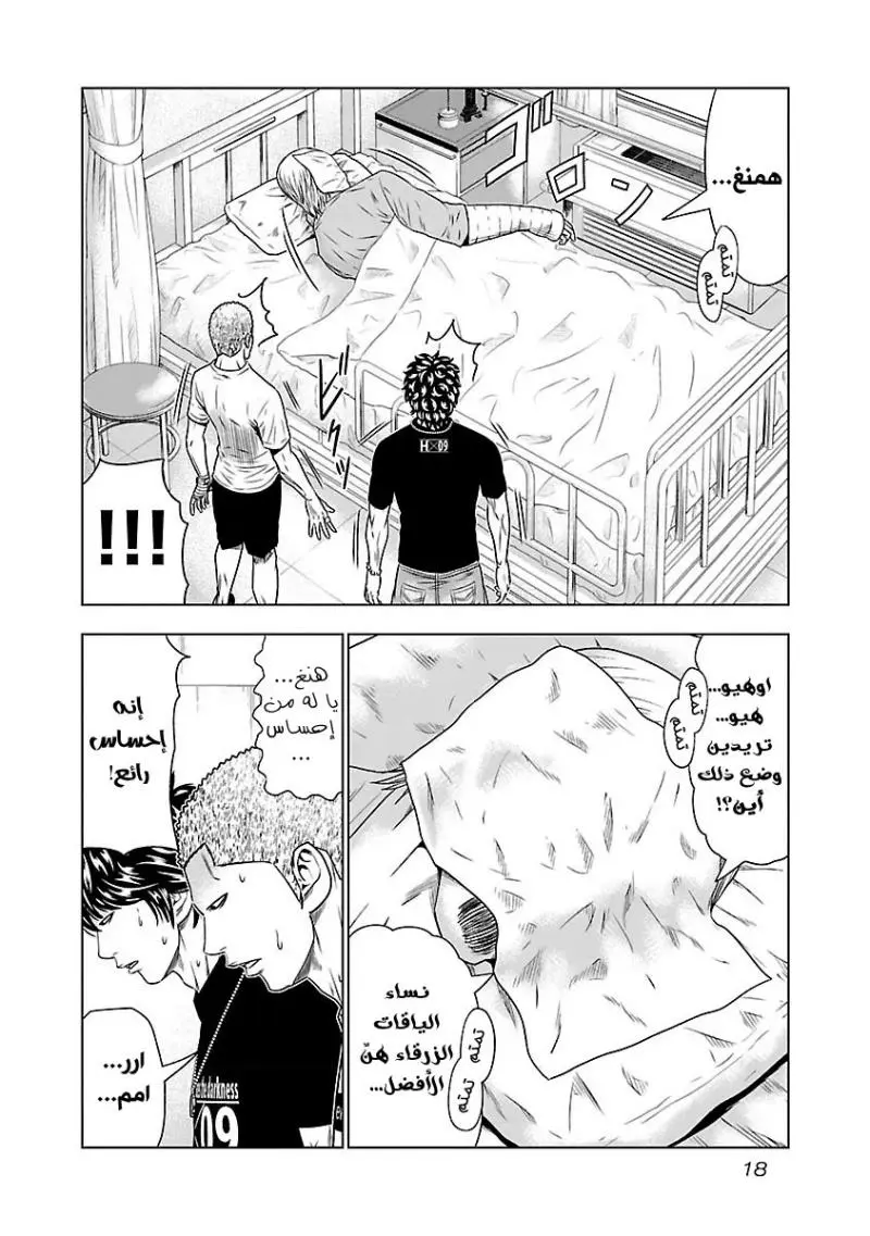 الصفحة 18