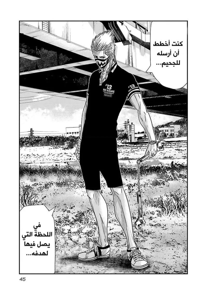 الصفحة 17