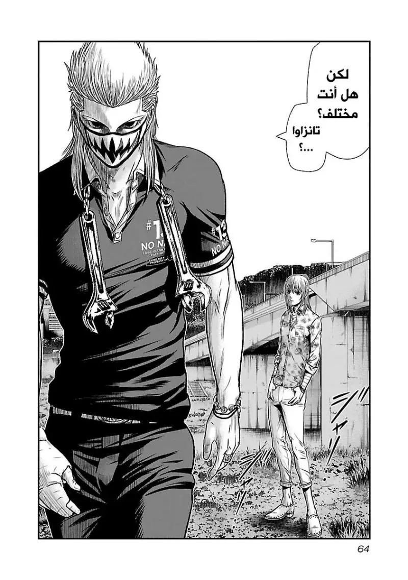 الصفحة 17