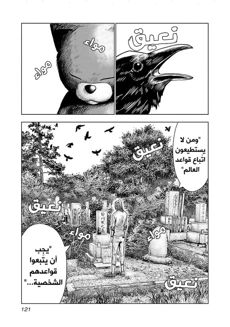 الصفحة 8