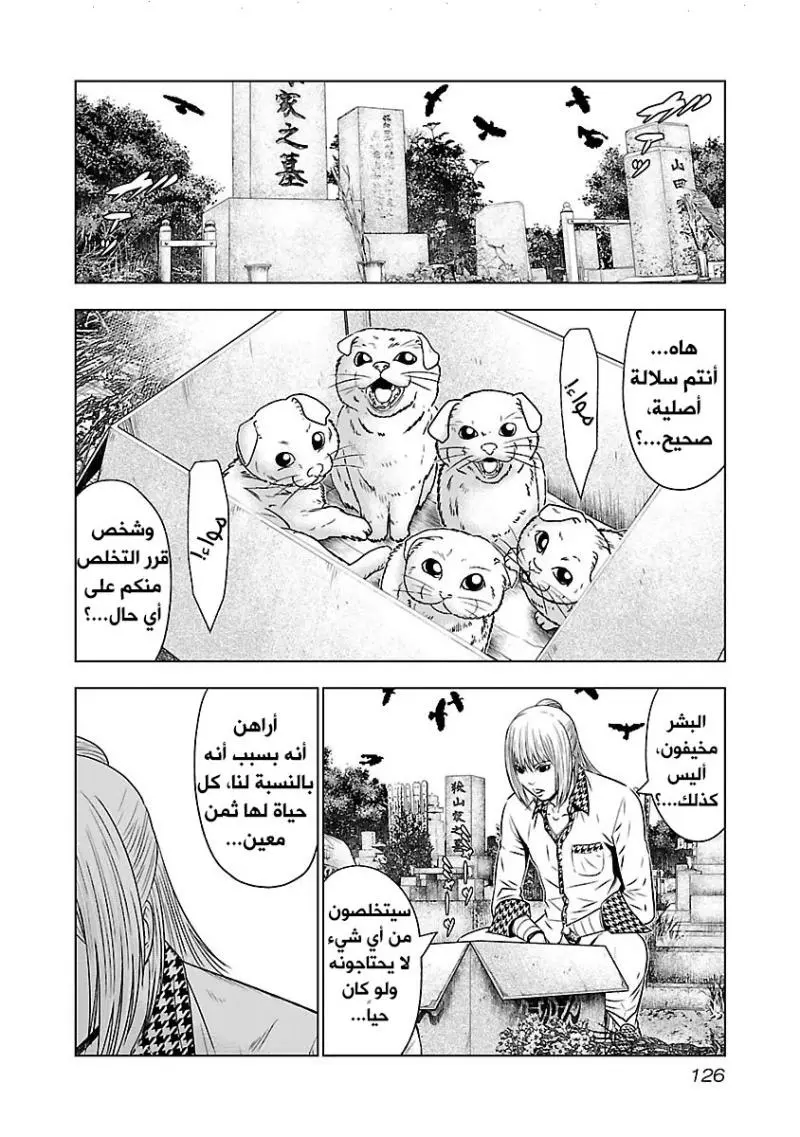 الصفحة 13