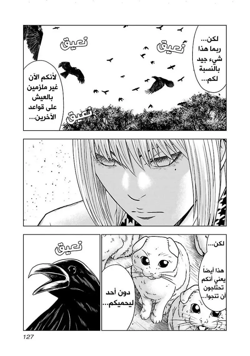 الصفحة 14