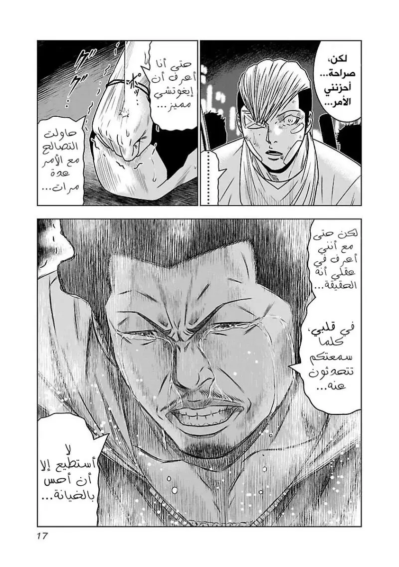 الصفحة 17
