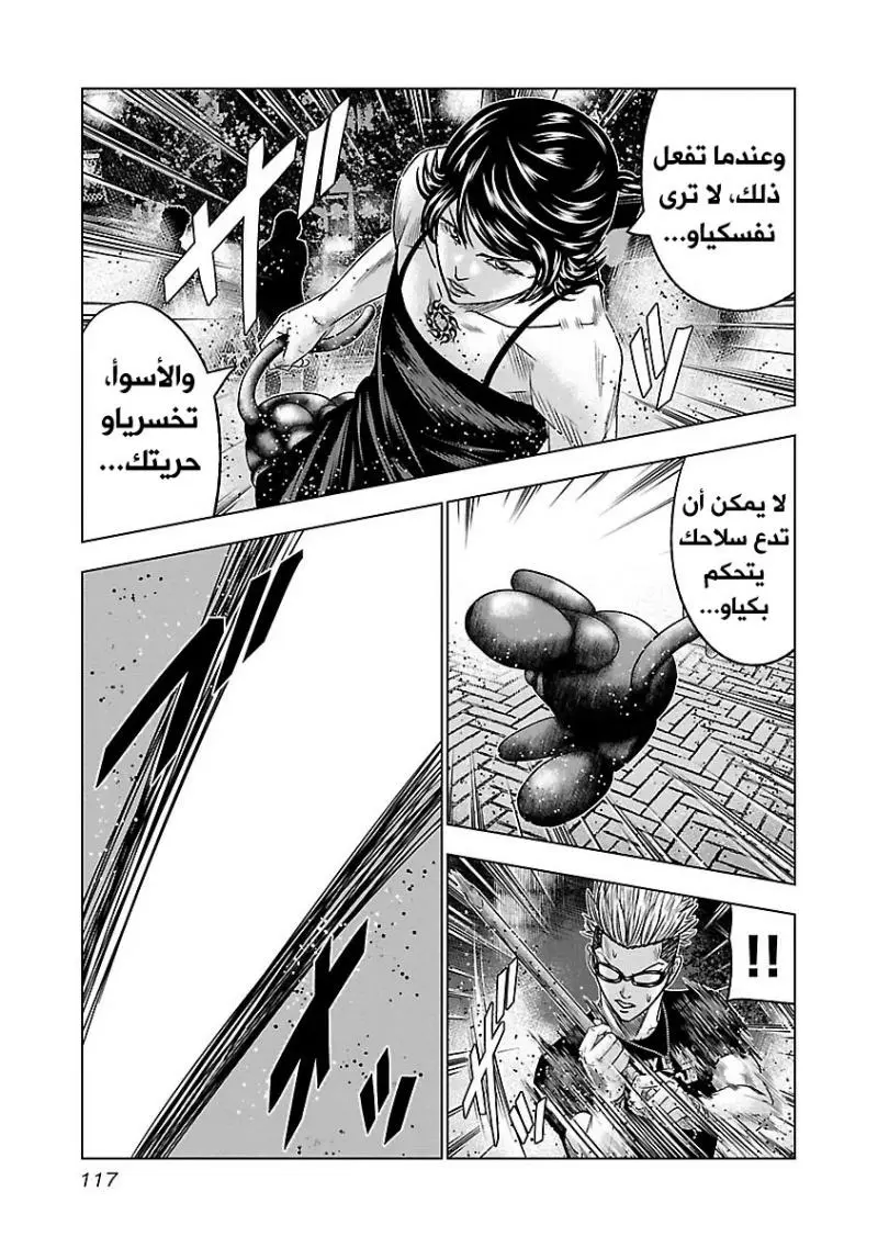 الصفحة 13