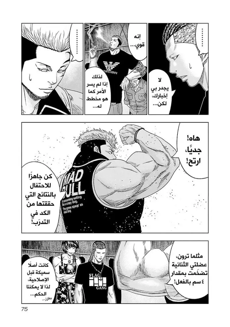 الصفحة 12
