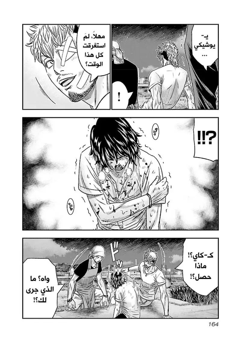 الصفحة 17