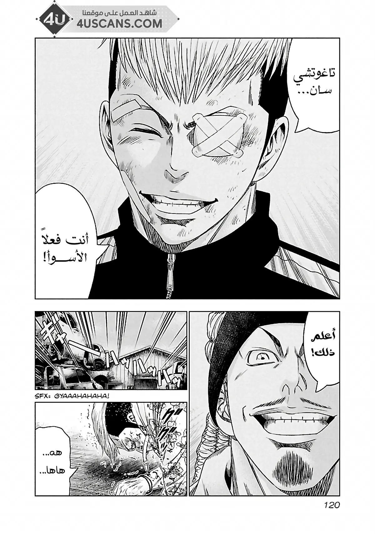 الصفحة 17
