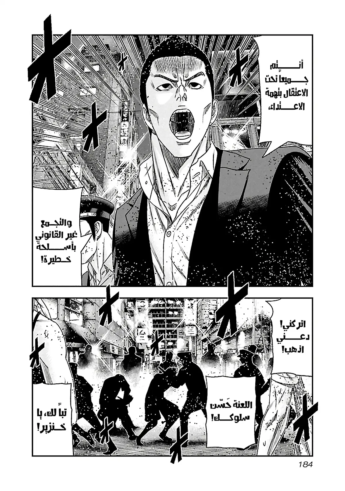 الصفحة 17