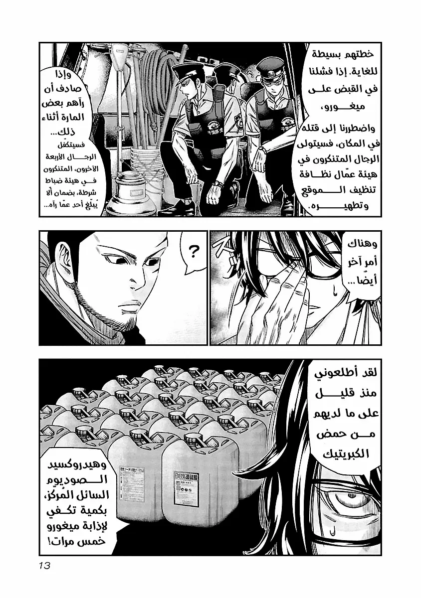 الصفحة 13