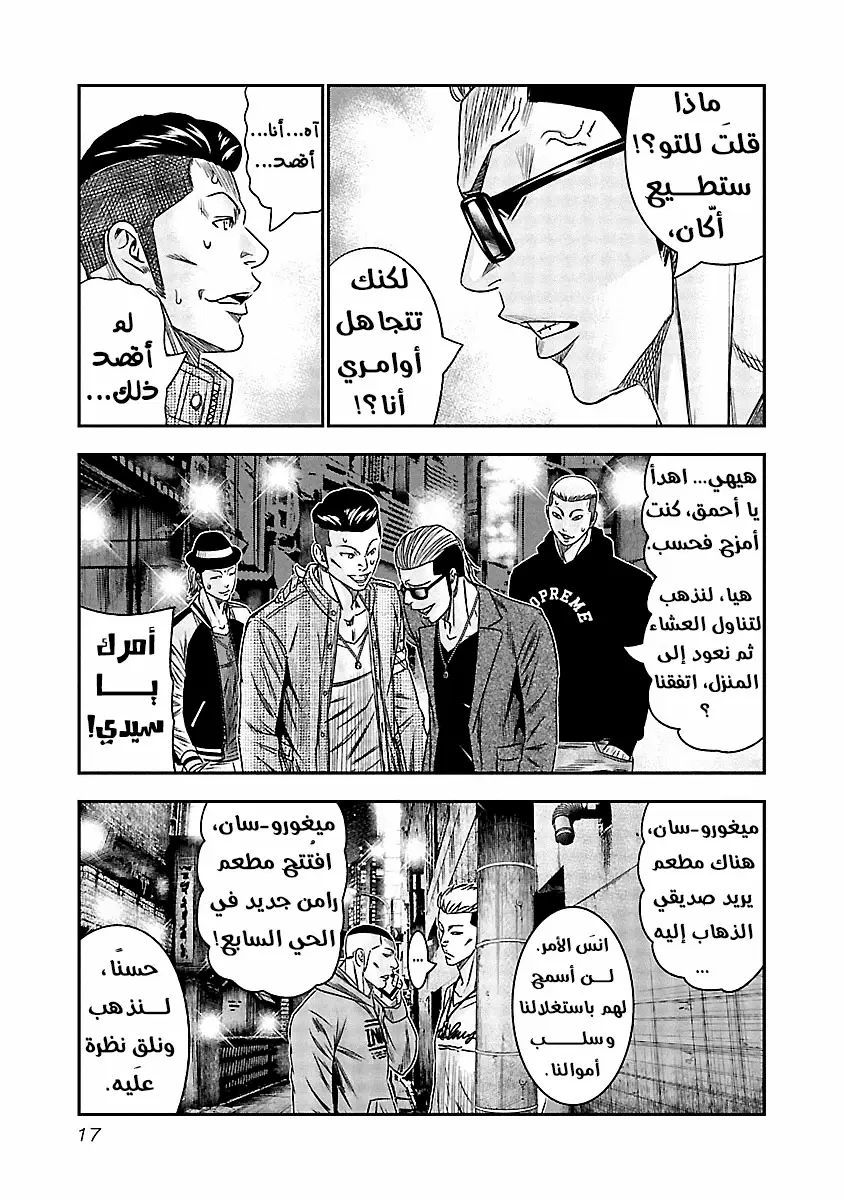 الصفحة 17