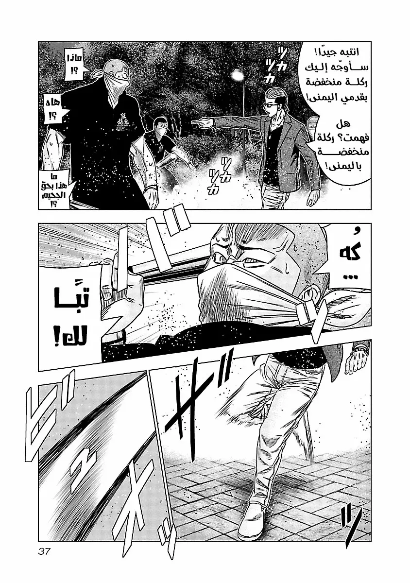 الصفحة 13