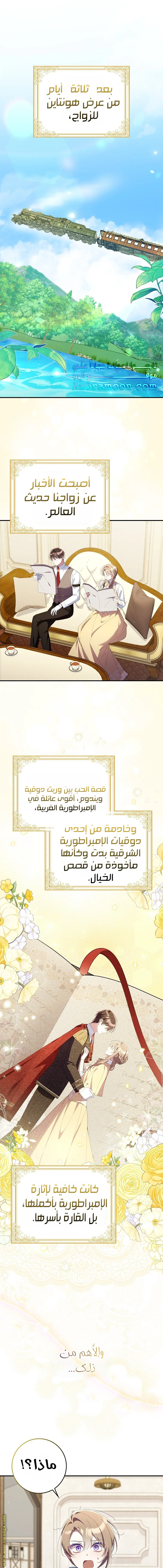 الصفحة 2