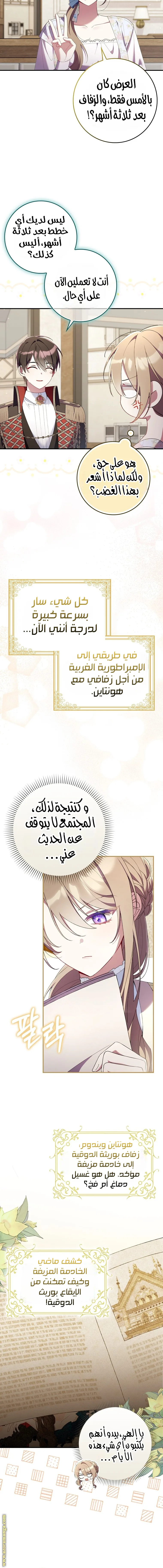 الصفحة 3