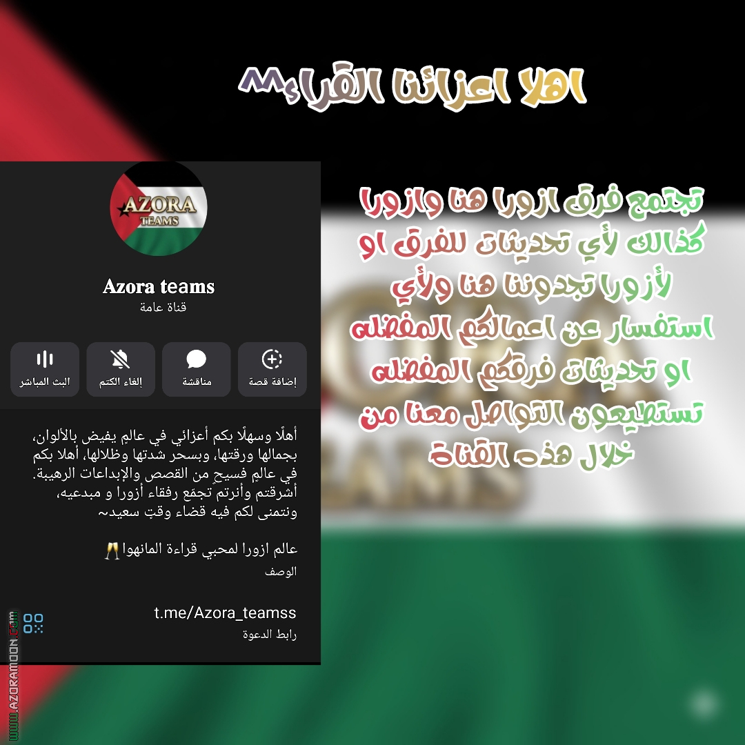 الصفحة 12