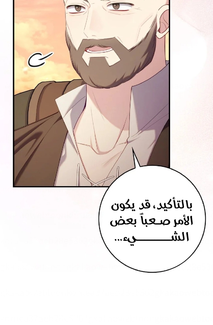 الصفحة 20