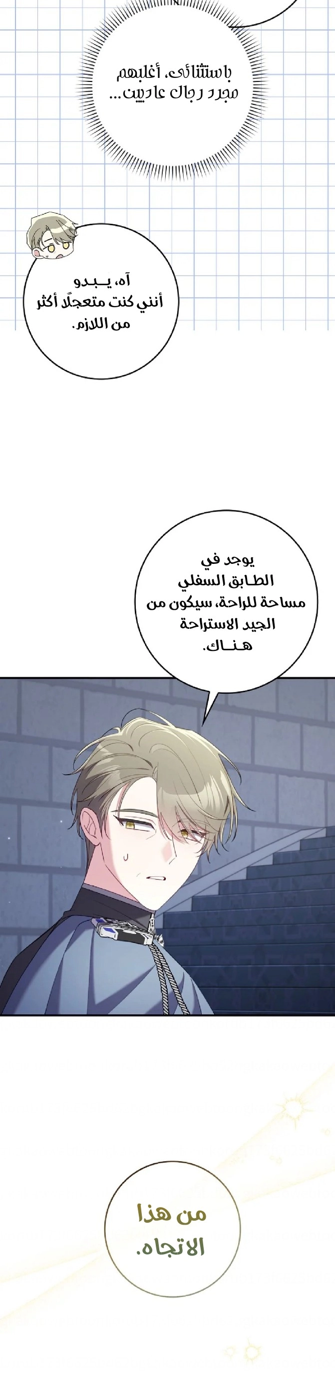 الصفحة 17