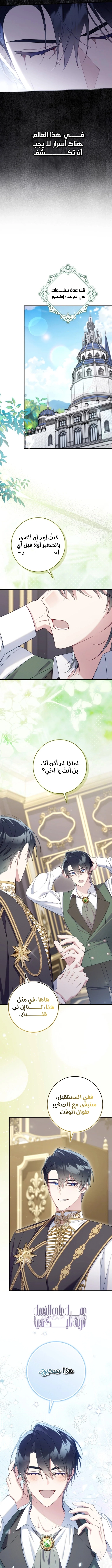 الصفحة 14