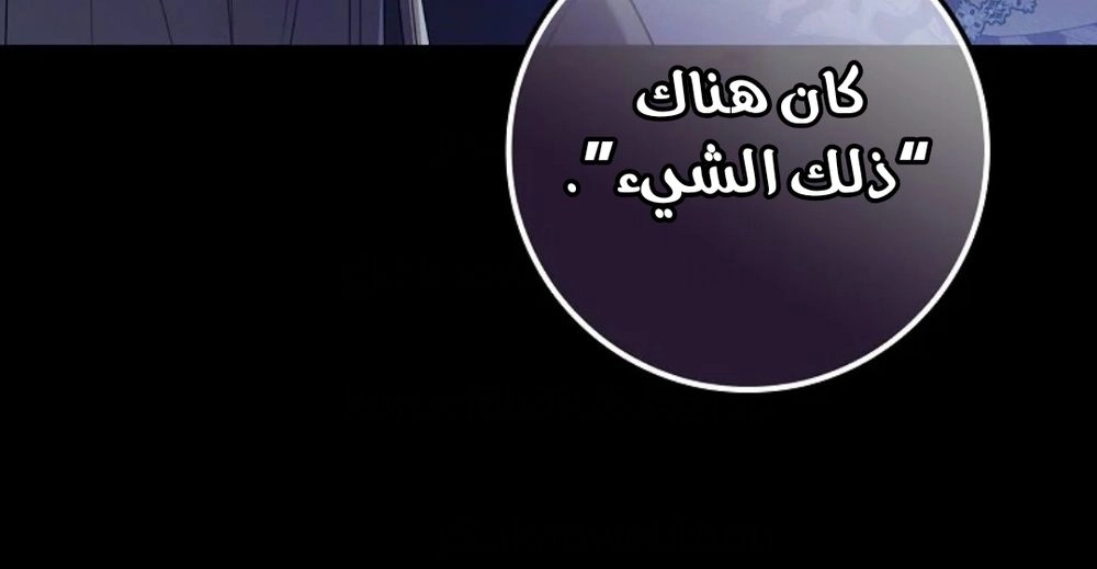 الصفحة 29