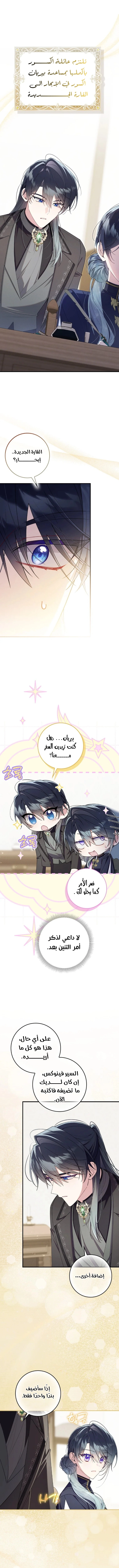 الصفحة 19