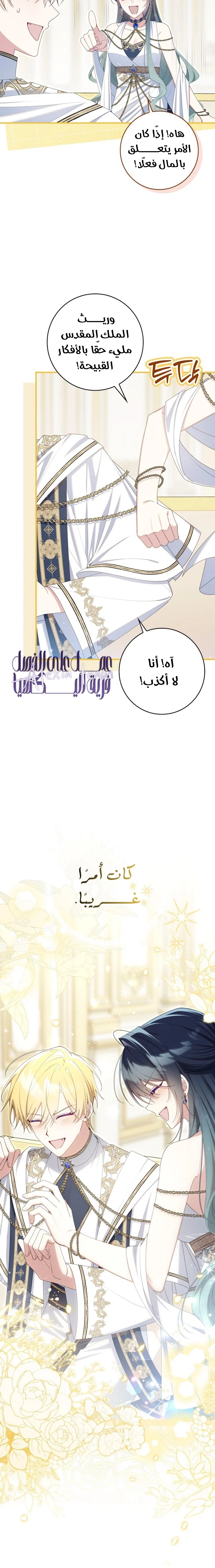 الصفحة 17