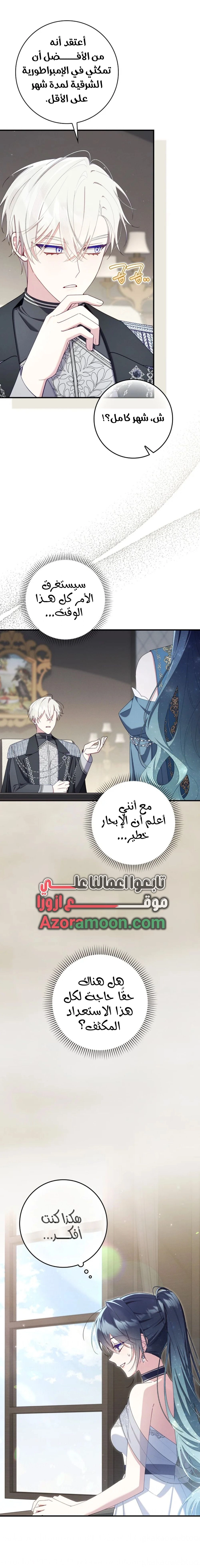 الصفحة 17
