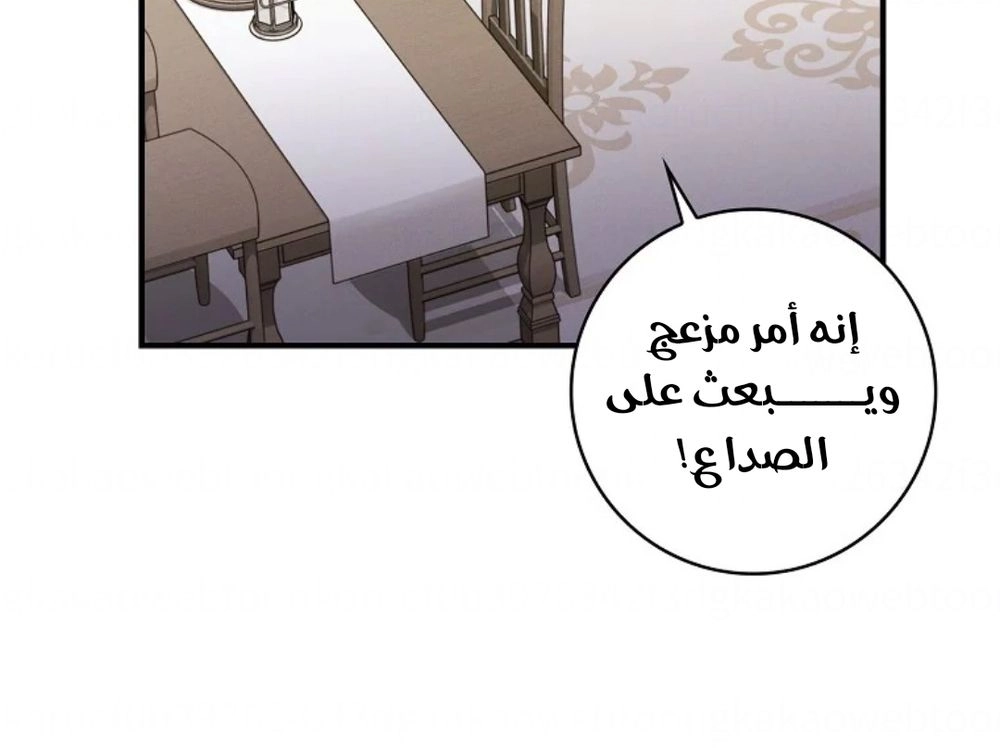 الصفحة 25