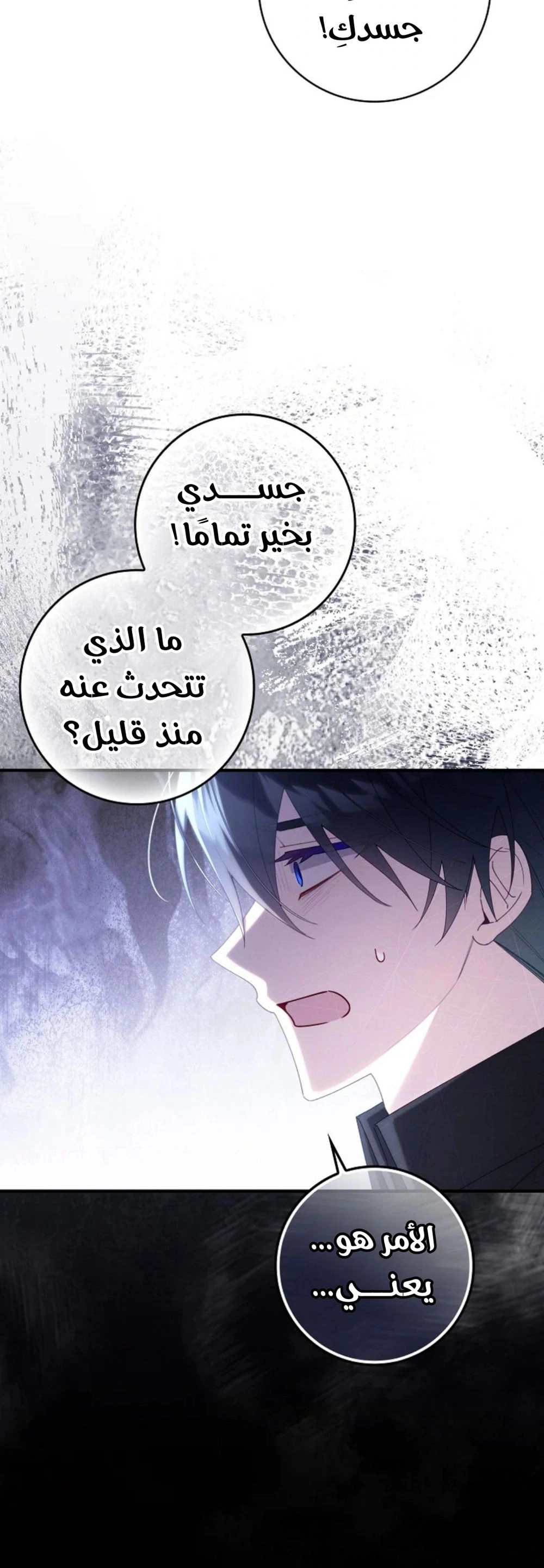 الصفحة 29
