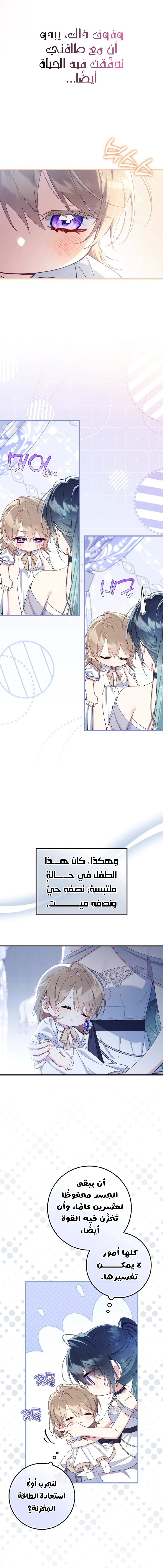الصفحة 19