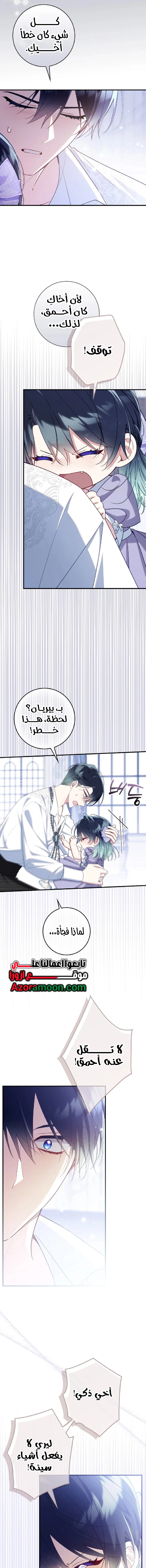 الصفحة 17