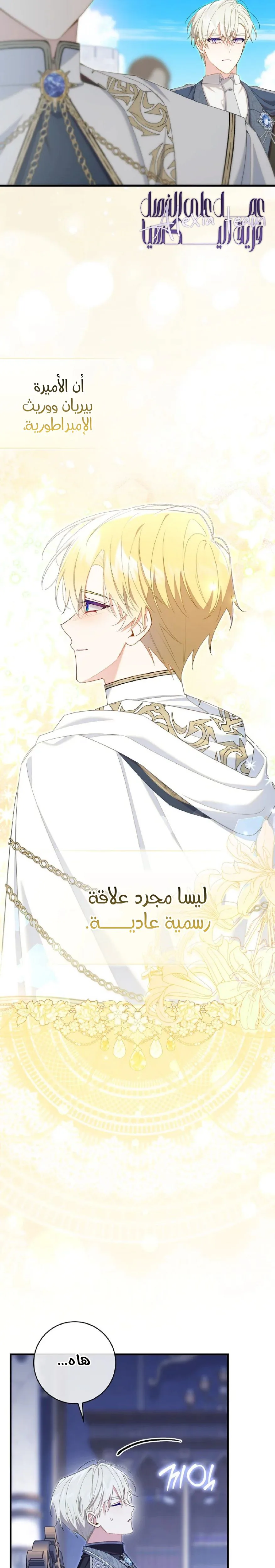 الصفحة 12