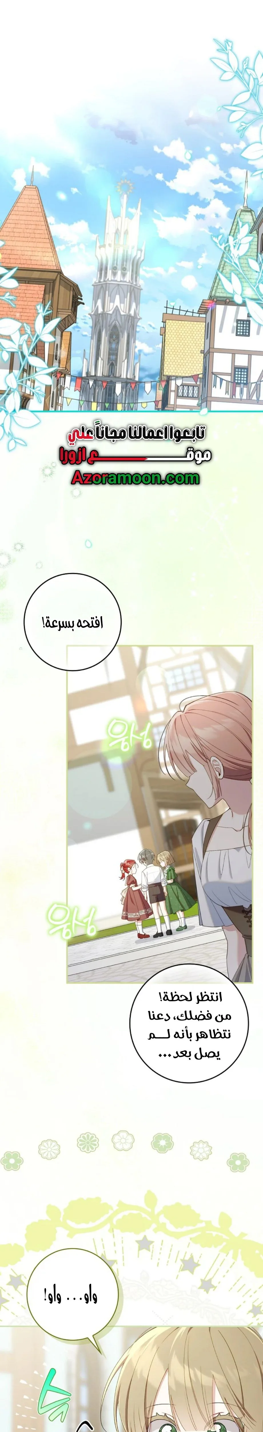 الصفحة 17