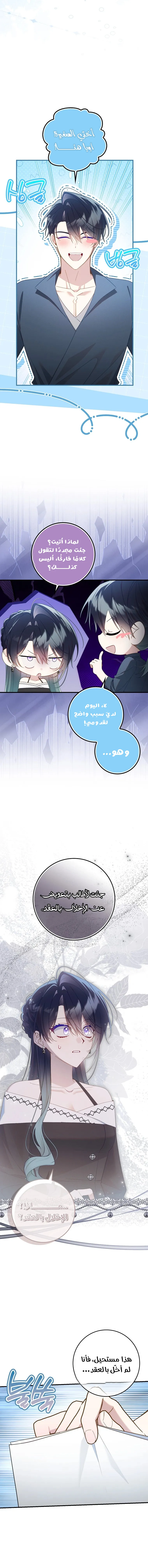 الصفحة 11