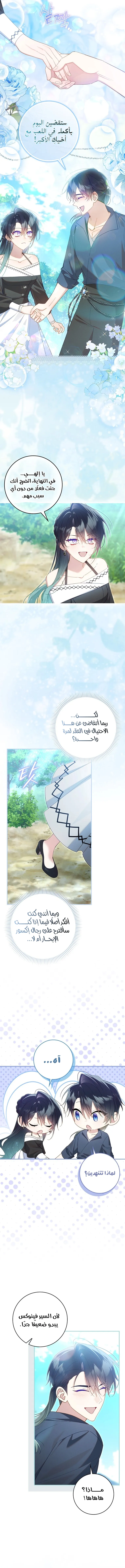 الصفحة 13