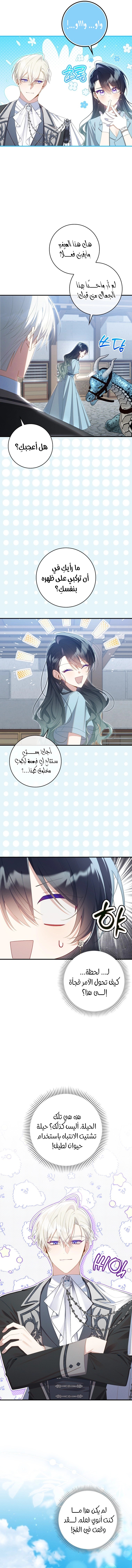 الصفحة 14