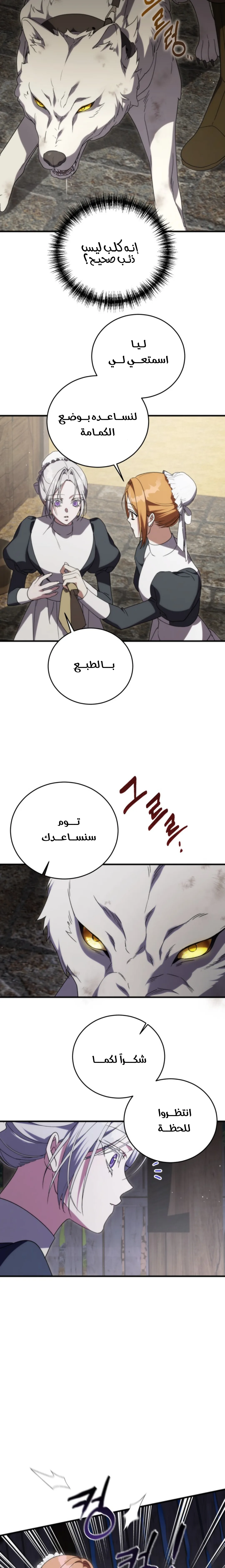 الصفحة 19