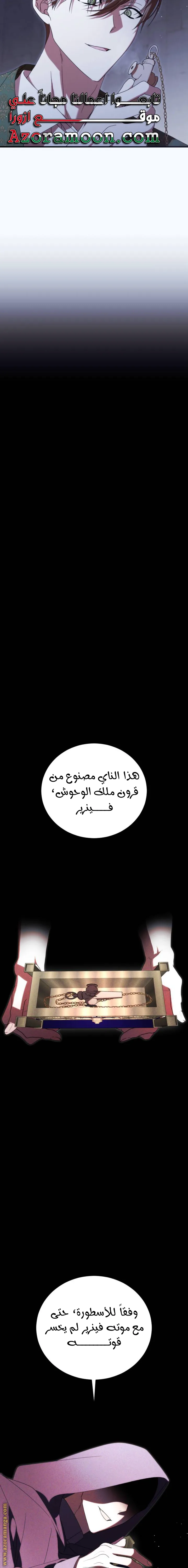 الصفحة 19