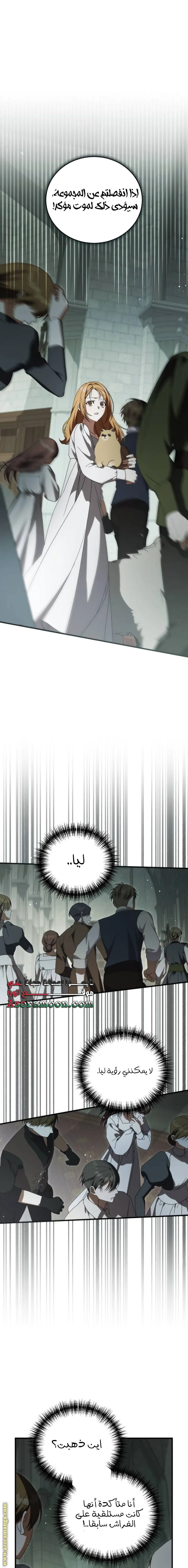 الصفحة 19