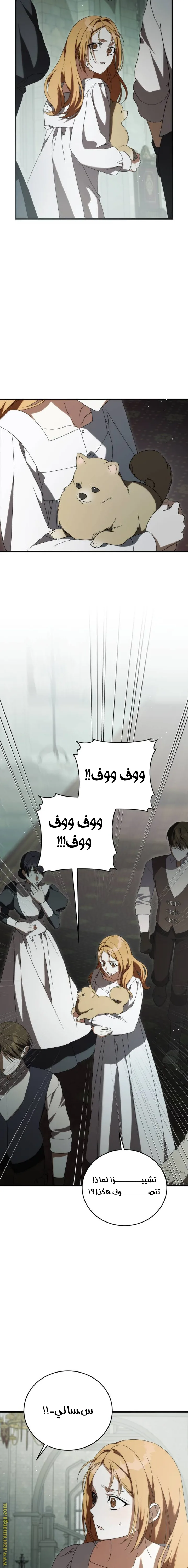 الصفحة 20