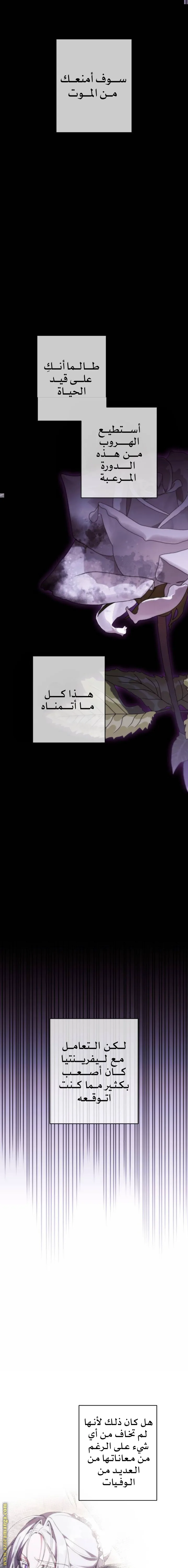الصفحة 19