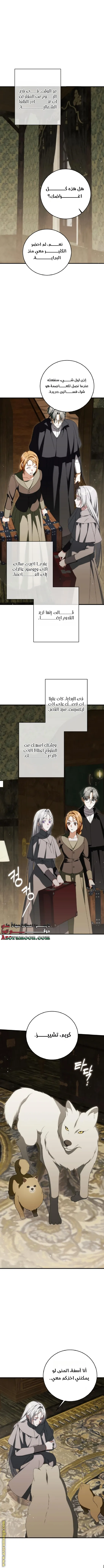الصفحة 8