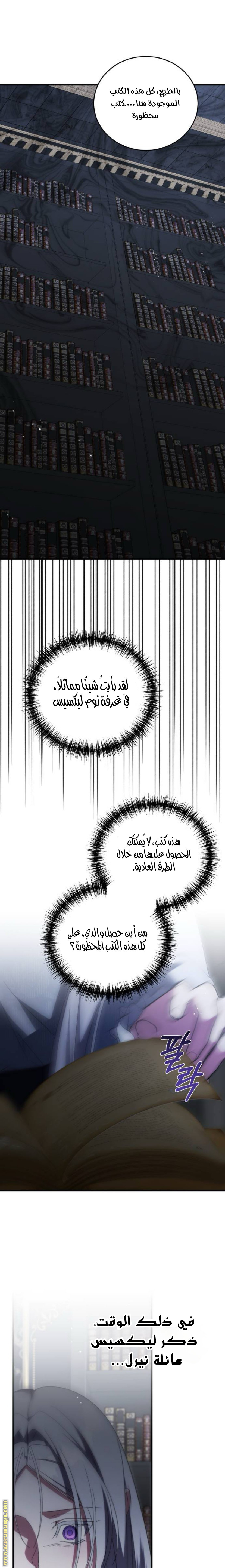 الصفحة 17
