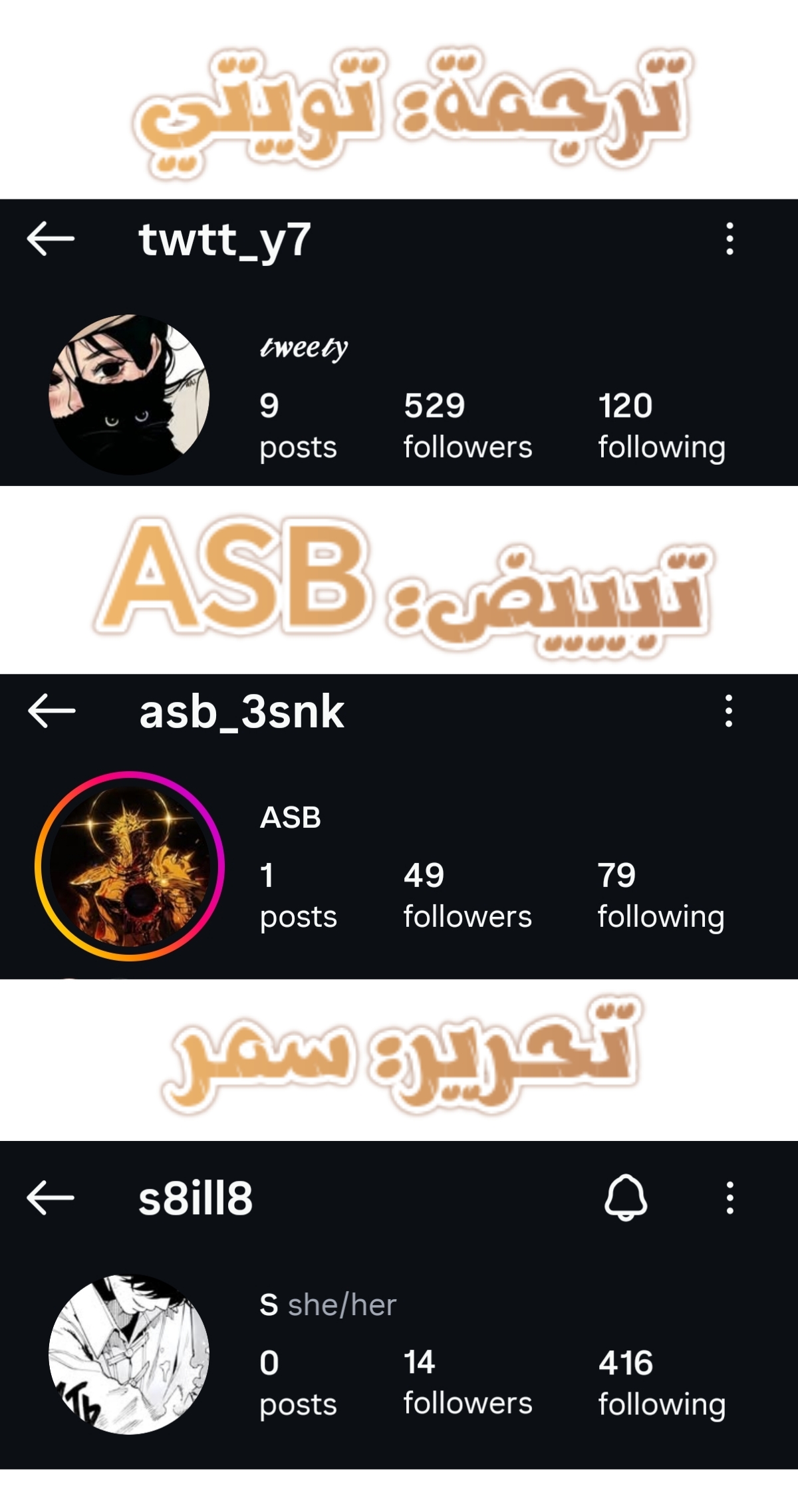 الصفحة 13